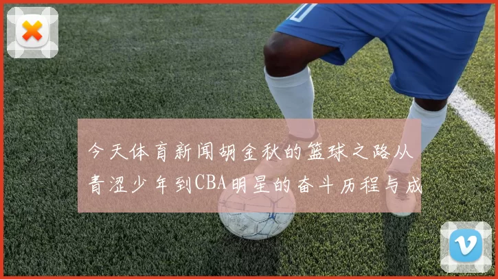 今天体育新闻胡金秋的篮球之路从青涩少年到CBA明星的奋斗历程与成就