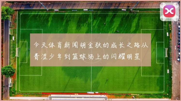 今天体育新闻胡金秋的成长之路从青涩少年到篮球场上的闪耀明星