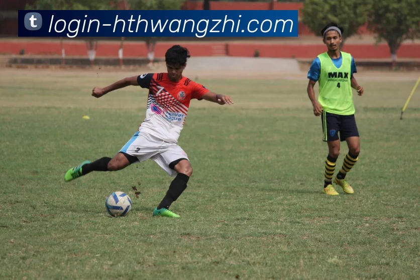 华体会网址平台生态图